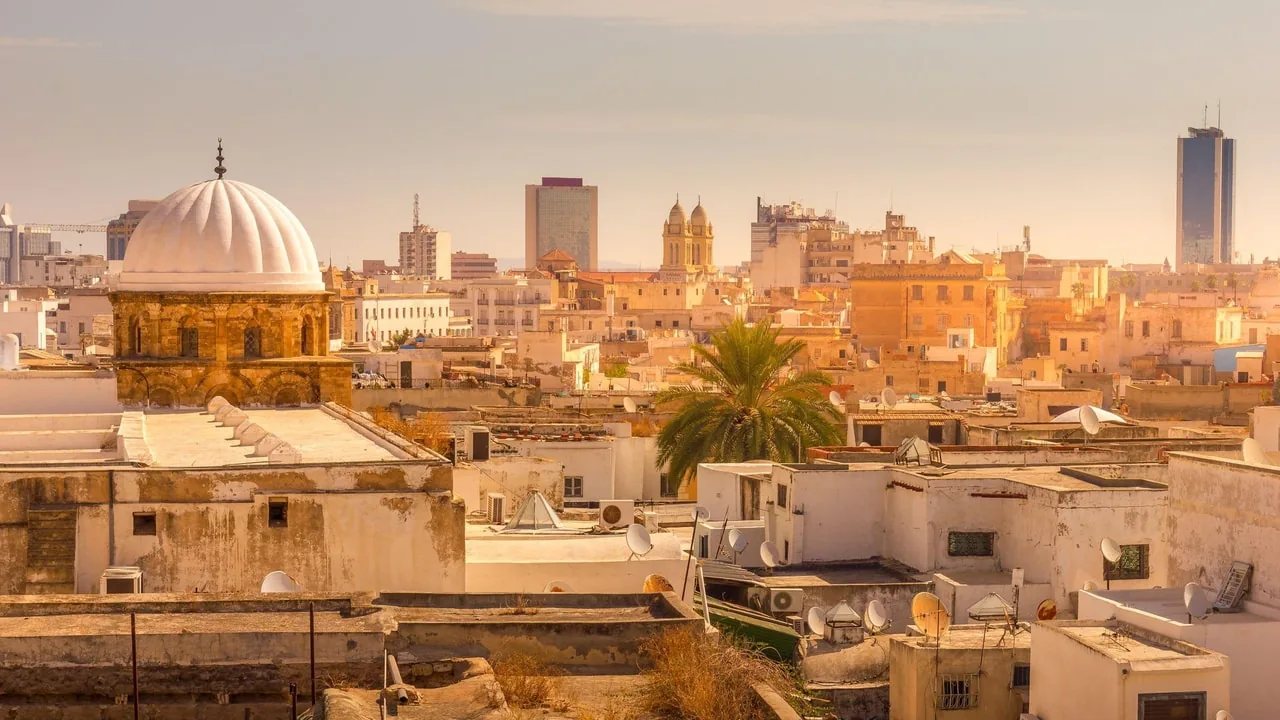 Tunis, Carthage et musée du Bardo : un voyage à travers l'histoire